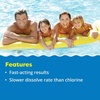 image:imageIn The Swim 1 Inch Bromine Plus Tablets  15 Pounds  Sanitizer for Spas Hot Tubs or Swimming Pools  PreStabilized Low Odor Chlorine AlternativeBromine Plus
