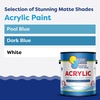 image:imageIn The Swim NonSlip Acrylic Swimming Pool Paint  White  For Smooth Bare Cement Surfaces Previously Acrylic Coating or Rubber Base Paint Coating  1 Gallon  For Smooth Bare Cement Surfaces Previously Acrylic Coating or Rubber Base Paint Coating