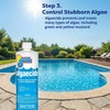 image:imageIn The Swim Saltwater Pool Opening Chemical Kit  StartUp Treatment for Salt Pools Up to 7500 Gallons  Shock Algaecide Clarifier Stain Preventer amp Oil AbsorberKit Only