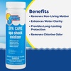 image:imageIn The Swim Spa and Hot Tub Maintenance Kit and Sodium Dichlor Bundle  AllinOne Solution for Sanitizing Spa and Hot TubsMaintenance Kit