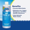 image:imageIn The Swim Spa and Hot Tub Metal Out  1 Quart  For Clearer StainFree Water2Pack