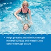 image:imageIn The Swim Stain Away for Above Ground and Inground Pools  1 Quart  Removes Mineral Stains From Iron Copper and Magnesium in Swimming PoolsStandard