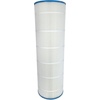 image:imageIn The Swim Standard Pool Filter Cartridge  Replacement for Pentair Clean and Clear 100 Predator CC100 FilterPremium