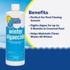 image:imageIn The Swim Winter Algaecide for Above Ground and Inground Pools  1 Quart  Prevent BlueGreen Green Yellow and Black Algae All Winter Season2Pack 1 Quart