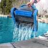 image:imageS400 Dolphin