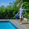 image:imageS400 Dolphin