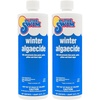 image:imageIn The Swim Winter Algaecide for Above Ground and Inground Pools  1 Quart  Prevent BlueGreen Green Yellow and Black Algae All Winter Season2Pack 1 Quart