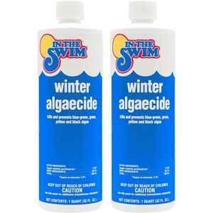 image:imageIn The Swim Winter Algaecide for Above Ground and Inground Pools  1 Quart  Prevent BlueGreen Green Yellow and Black Algae All Winter Season2Pack 1 Quart