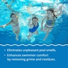 image:imageIn The Swim  Pure Clear  No Phos  2Pack of 3 Liters 6L Total  Reduces Phosphates amp Removes NonLiving Matter for Clearer WaterPure Clear
