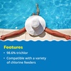 image:imageIn The Swim 1 Inch Stabilized Chlorine Tablets TriChlor  4 Pounds  90 Available Chlorine for Sanitizing Swimming Pools  Fast DissolvingChlorine  Shock