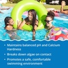 image:imageIn The Swim 4 Inch Chlorine Sticks  Individually Wrapped  10 Pounds  For Sanitizing Swimming Pools  Slow Dissolving Stabilized Chlorine Sanitizer  90 Available Chlorine 99 TrichlorChlorine  Shock
