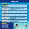 image:imageIn The Swim Algaecide  Green and Yellow Algae Prevention  1 Quart  NonClouding NonFoaming Formula  10 Quaternary Compound  for Swimming Pools