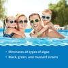 image:imageIn The Swim Algaecide 50 for Green Black and Yellow Algae  1 Quart  Algae Treatment for Above Ground or Inground Swimming Pools2Pack 1 Quart