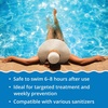 image:imageIn The Swim Algaecide 50 for Green Black and Yellow Algae  1 Quart  Algae Treatment for Above Ground or Inground Swimming PoolsSingle 1 Quart