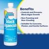 image:imageIn The Swim Black Algaecide  Copper Sulfate Pentahydrate  1 Quart  Eradicates Black Algae in Swimming PoolsSingle