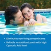 image:imageIn The Swim Green Pool Recovery Small Bundle  Treats Green Algae Clears Cloudy Water Restores Sparkling Blue Pool  Includes Quick Clear Green and CalHypo ShockQCG  24 x 1 CH Bundle