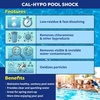 image:imageIn The Swim Pool Shock  68 CalHypo Granular Sanitizer  24 x 1 Pound  Powerful Pool Shock for InGround and Above Ground Pools  Defends Against Bacteria Algae and MicroorganismsShock