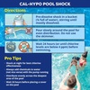 image:imageIn The Swim Pool Shock  68 CalHypo Granular Sanitizer  24 x 1 Pound  Powerful Pool Shock for InGround and Above Ground Pools  Defends Against Bacteria Algae and MicroorganismsShock  Chlorine
