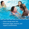 image:imageIn The Swim Premium 3in1 Pool Shock  DiZap  24 x 1 Pound Bags  Contains Dichlor Algaecide and Stabilizer6 x 1 Pound