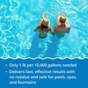 image:imageIn The Swim Premium 3in1 Pool Shock  DiZap  24 x 1 Pound Bags  Contains Dichlor Algaecide and Stabilizer6 x 1 Pound