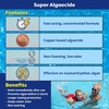 image:imageIn The Swim Super Algaecide  71 Chelated Copper  1 Quart  For Above Ground or Inground Swimming Pools  Low Odor NonFoaming Preventative for YellowMustard Algae in Swimming PoolsAlgaecide