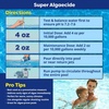 image:imageIn The Swim Super Algaecide  71 Chelated Copper  1 Quart  For Above Ground or Inground Swimming Pools  Low Odor NonFoaming Preventative for YellowMustard Algae in Swimming PoolsAlgaecide