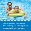 image:imageIn The Swim Yellow Algae Treatment Kit  Small Bundle  2Step Solution for Mustard Algae Removal  Includes 2 Pound Quick Clear Yellow  6 x 1 Pound CalHypo Pool ShockQCY  6 x 1 CH Bundle