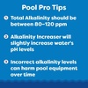 image:imageIn The Swim pH Increaser for Pools  45 Pounds  Granular 100 Sodium Carbonate Soda Ash to Raise pH Up25 Pound