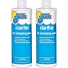 image:imageIn The Swim Clarifier for Swimming Pools  1 Gallon  Coagulates Debris To Clear Swimming Pool Water  Increases Filter Efficiency  Above Ground and Inground Pools2Pack 1 Quart
