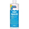 image:imageIn The Swim Super Algaecide  71 Chelated Copper  1 Quart  For Above Ground or Inground Swimming Pools  Low Odor NonFoaming Preventative for YellowMustard Algae in Swimming PoolsAlgaecide